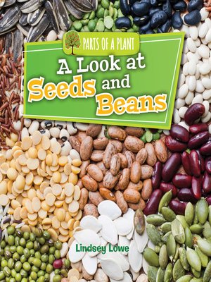 cover image of A Look at Seeds and Beans